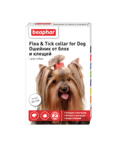 Dyazynon - Beafar (Beaphar) Flea & Tick Collar Dog collar white from fleas 6 months. and ticks 6 months 65 cm texas Pharmacy Online - texas.buy-pharm.com