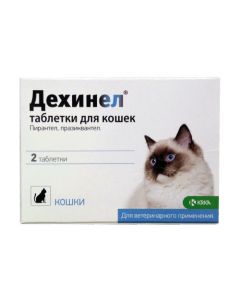 Pyrantel, praziquantel - Dechinel anthelmintic tablets for cats 230 mg / 20 mg 2 pcs. (BET) texas Pharmacy Online - texas.buy-pharm.com
