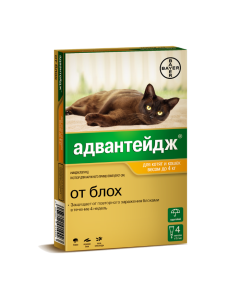 Imidacloprid - Advantage 40K drops at the withers for kittens and cats up to 4 kg pipettes 4 pcs. texas Pharmacy Online - texas.buy-pharm.com